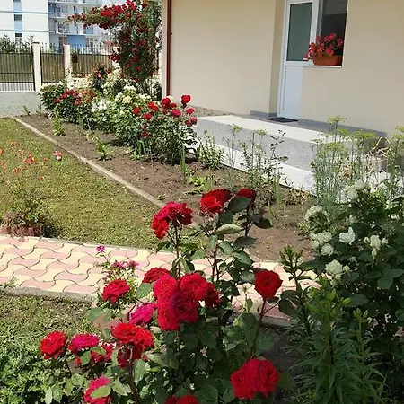 Timona- De Inchiriat Costinesti