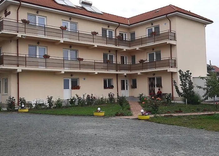 Timona- De Inchiriat 3* 科斯蒂内什蒂