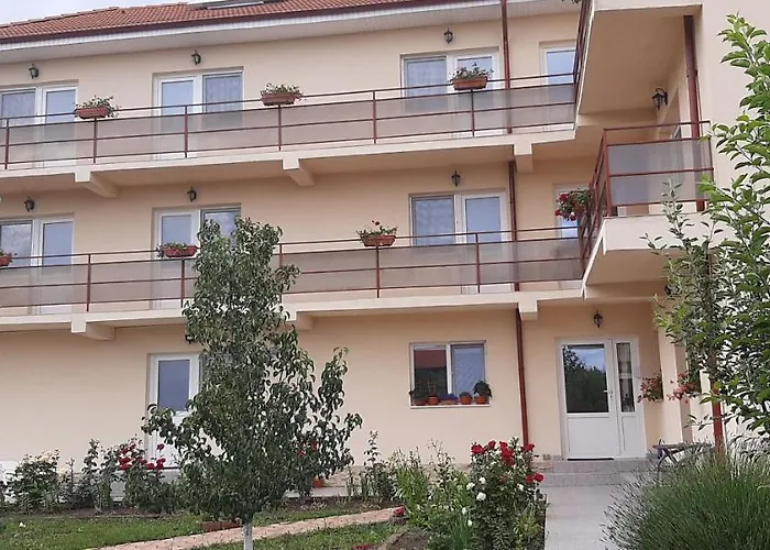 招待所 Timona- De Inchiriat 3*