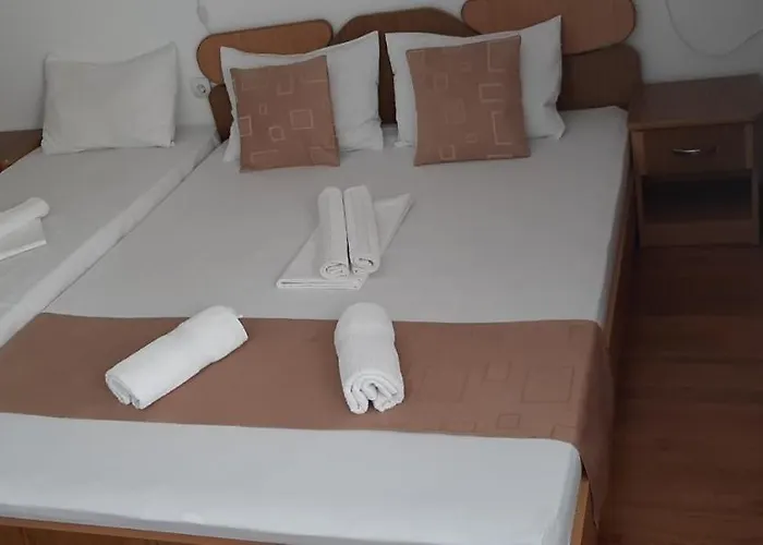 招待所 Timona- De Inchiriat 科斯蒂内什蒂