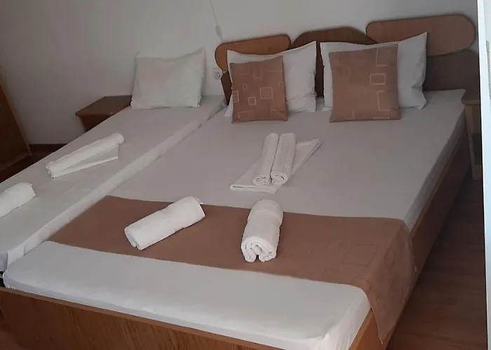 Timona- De Inchiriat 科斯蒂内什蒂