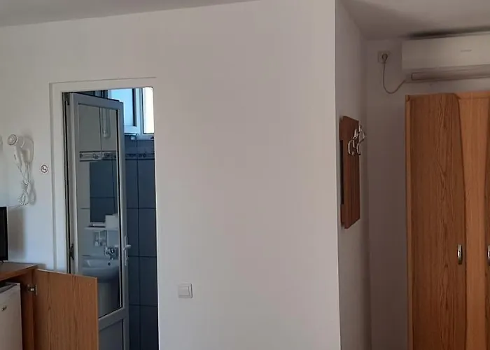 招待所 Timona- De Inchiriat 科斯蒂内什蒂