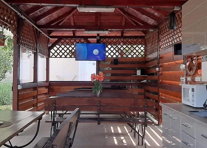 Timona- De Inchiriat 招待所 科斯蒂内什蒂