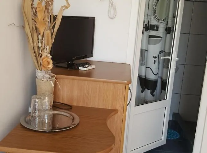 Timona- De Inchiriat 3* 科斯蒂内什蒂