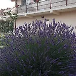 Guest house Timona- De Inchiriat Costinesti