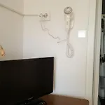 Timona- De Inchiriat Guest house