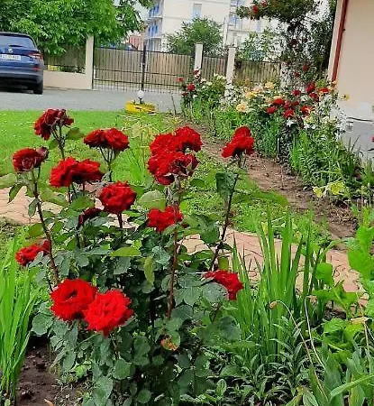 招待所 Timona- De Inchiriat 科斯蒂内什蒂