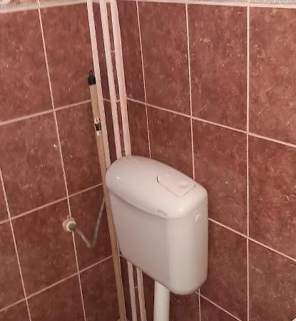 招待所 Timona- De Inchiriat 科斯蒂内什蒂