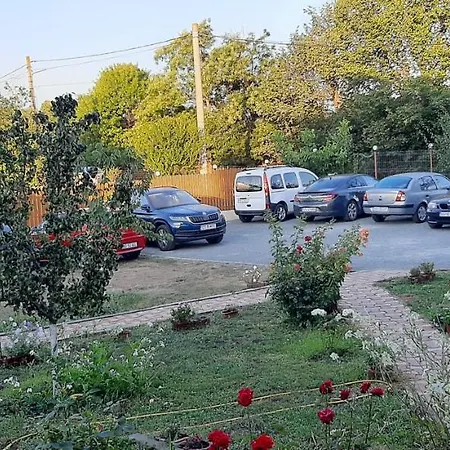 Timona- De Inchiriat