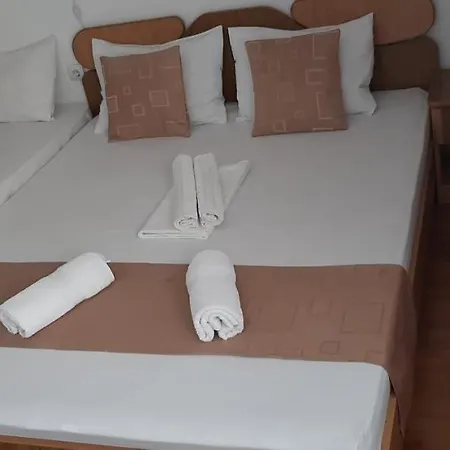 招待所 Timona- De Inchiriat 科斯蒂内什蒂