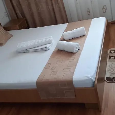 招待所 Timona- De Inchiriat 科斯蒂内什蒂