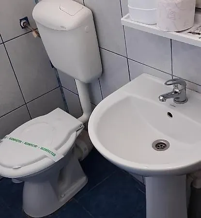 Timona- De Inchiriat 科斯蒂内什蒂