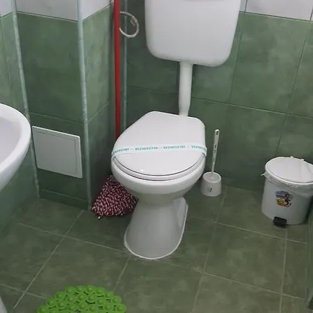 Timona- De Inchiriat 招待所