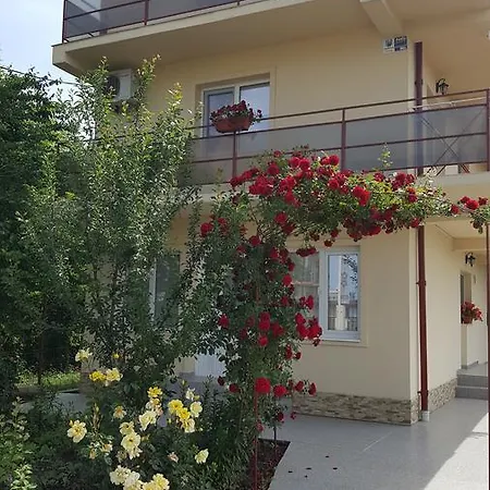 Timona- De Inchiriat