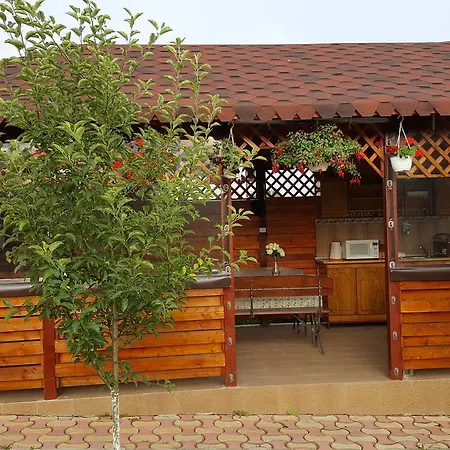 Timona- De Inchiriat 招待所 科斯蒂内什蒂