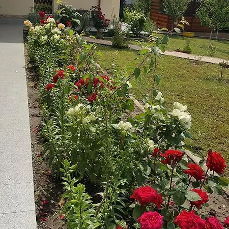 Timona- De Inchiriat 招待所 3*