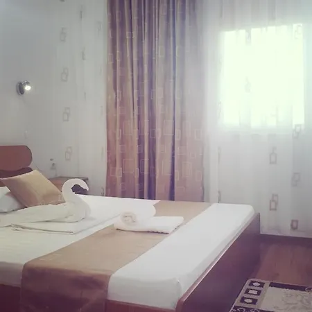 Timona- De Inchiriat 科斯蒂内什蒂