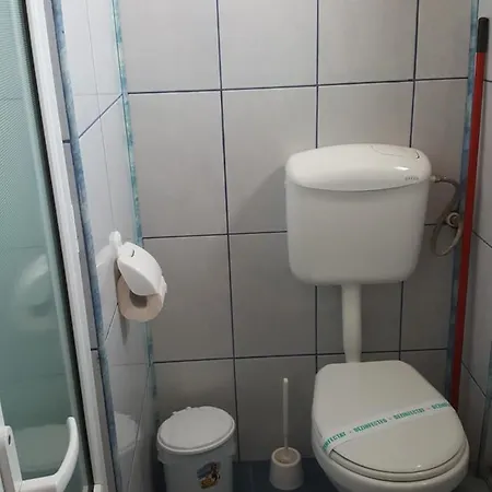 招待所 Timona- De Inchiriat 科斯蒂内什蒂