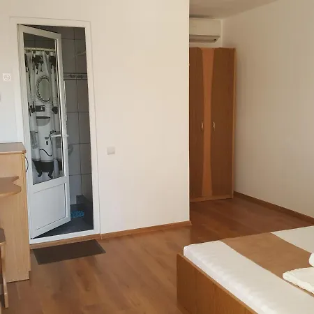 Timona- De Inchiriat 招待所 3*