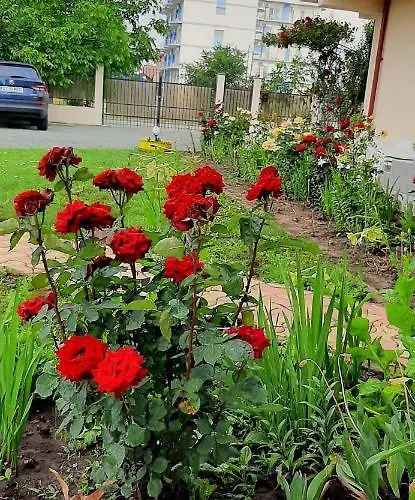 בית הארחה Timona- De Inchiriat קוסטינסטי