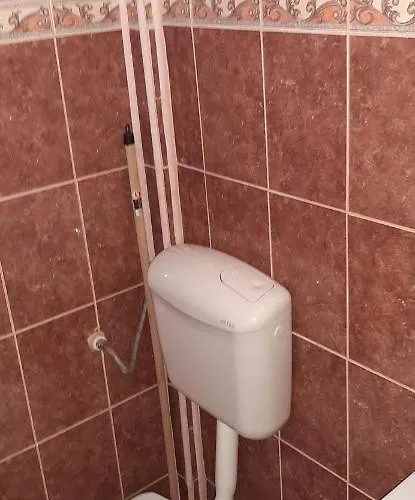 בית הארחה Timona- De Inchiriat קוסטינסטי