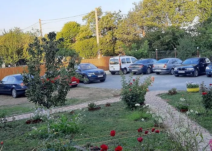 Timona- De Inchiriat