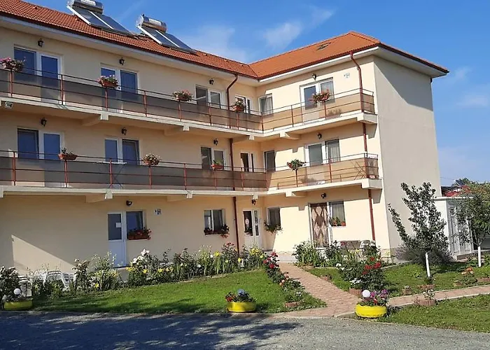 Timona- De Inchiriat קוסטינסטי