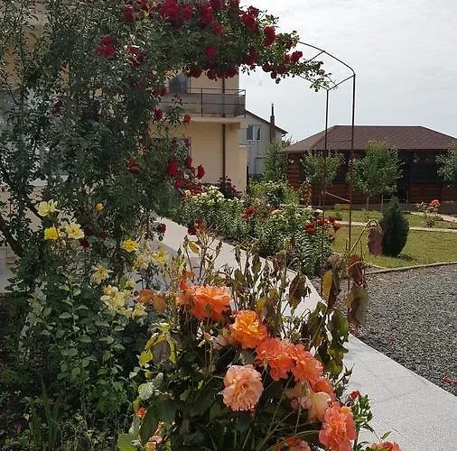 Timona- De Inchiriat