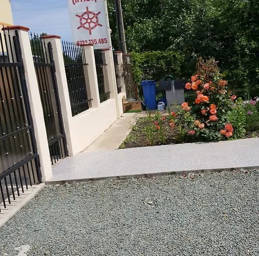 Timona- De Inchiriat קוסטינסטי