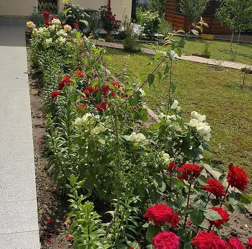 Timona- De Inchiriat בית הארחה 3*