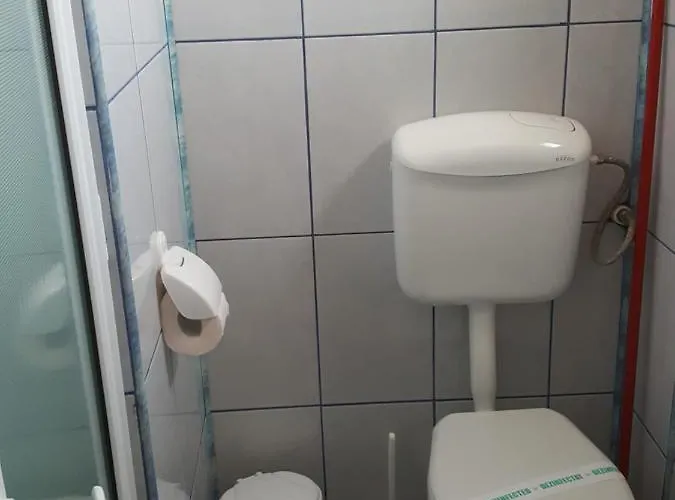 בית הארחה Timona- De Inchiriat קוסטינסטי